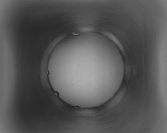 X0000100910385200807081129