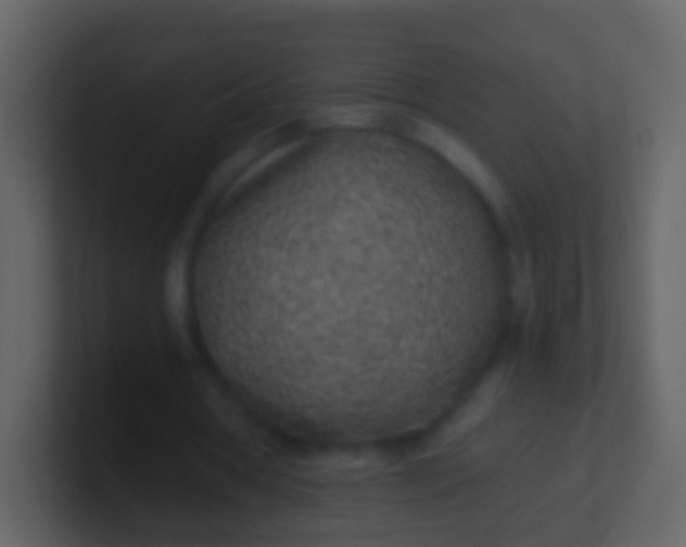 X0000100910386200807081129