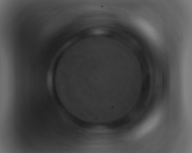 X0000100910387200807081129