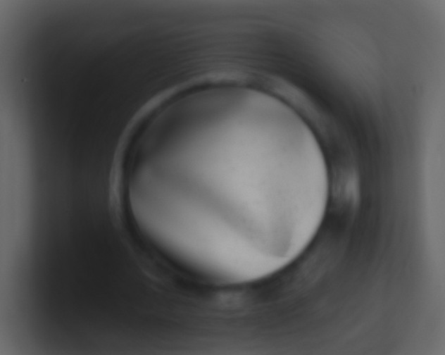 X0000100910388200807081129