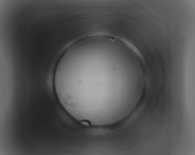 X0000100910389200807081129