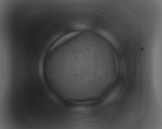 X0000100910390200807081129