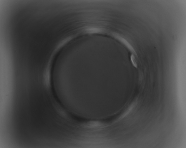 X0000100910391200807081128