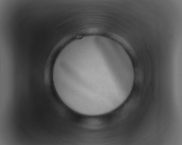 X0000100910392200807081128