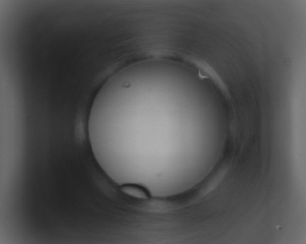 X0000100910393200807081128