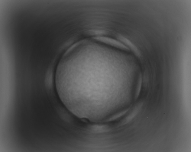 X0000100910394200807081128