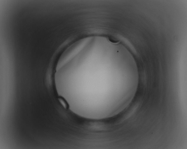 X0000100910395200807081128