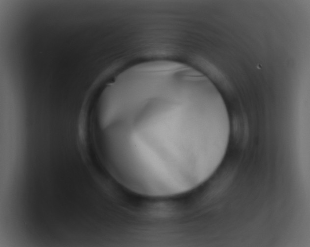 X0000100910396200807081128