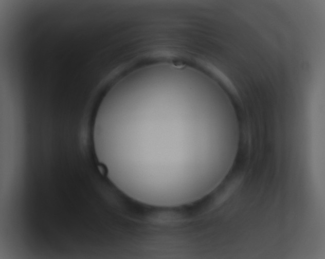 X0000100910399200807081128