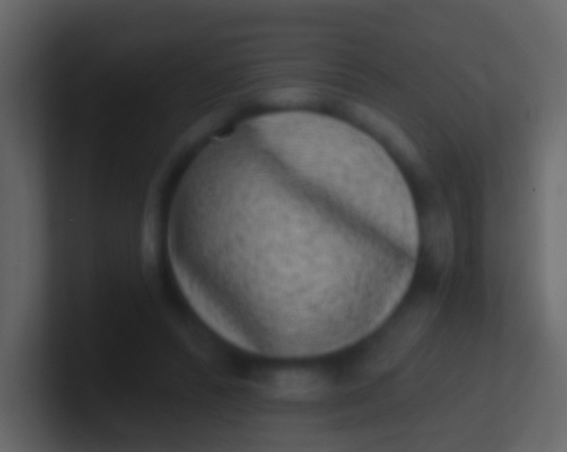 X0000100910400200807081128