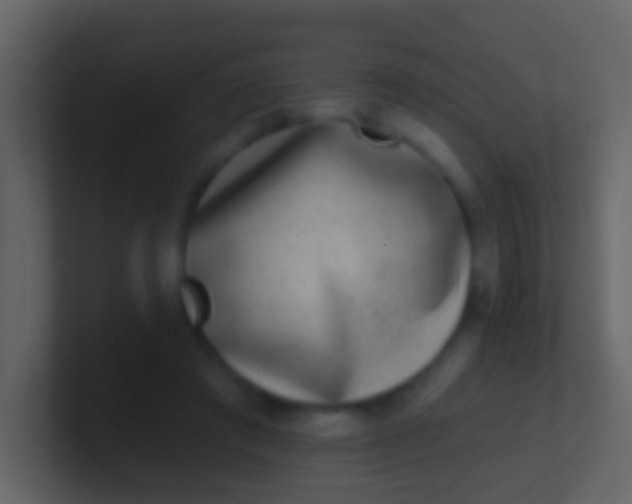X0000100910401200807081128