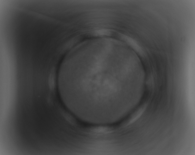 X0000100910402200807081128