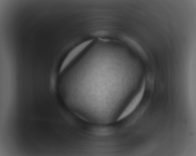 X0000100910404200807081128