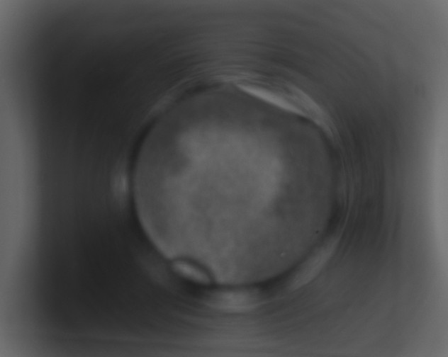 X0000100910405200807081128