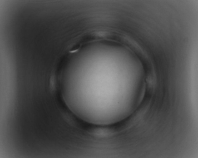 X0000100910408200807081128