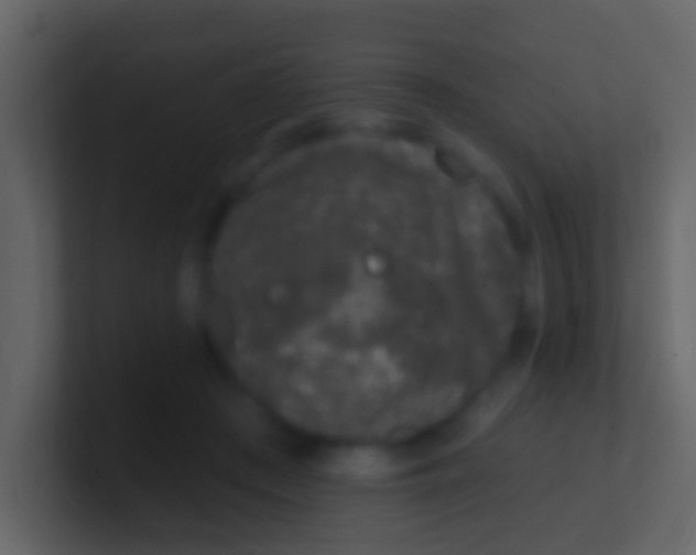X0000100910409200807081128