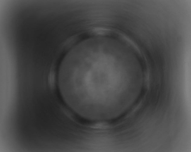 X0000100910410200807081128