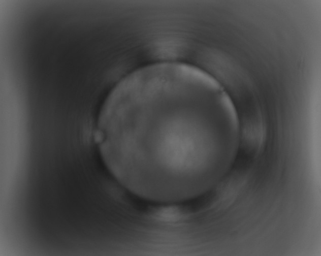 X0000100910411200807081128