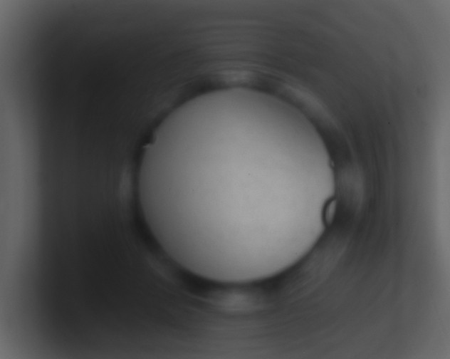 X0000100910412200807081128