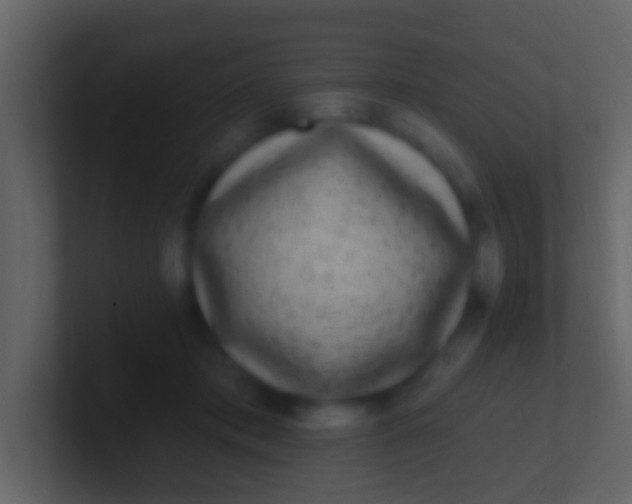X0000100910413200807081128