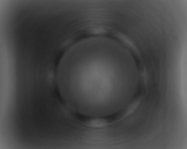X0000100910415200807081128