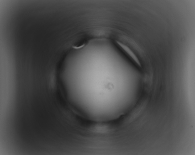 X0000100910416200807081128