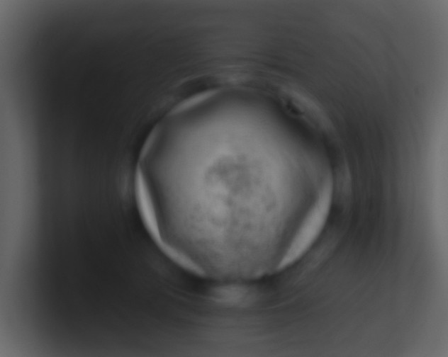 X0000100910417200807081128