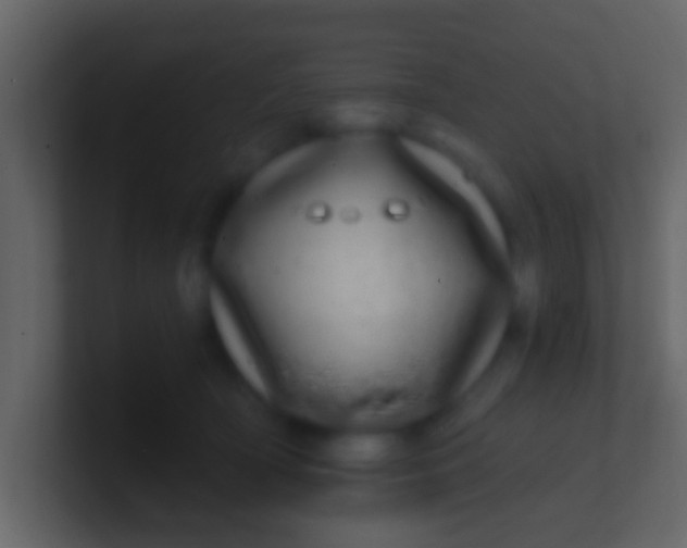 X0000100910418200807081128