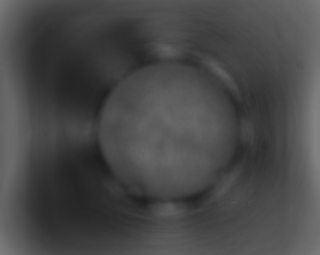 X0000100910419200807081128
