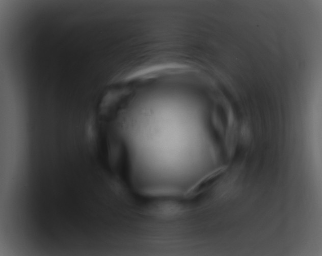 X0000100910424200807081128