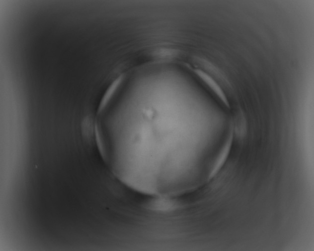 X0000100910425200807081128