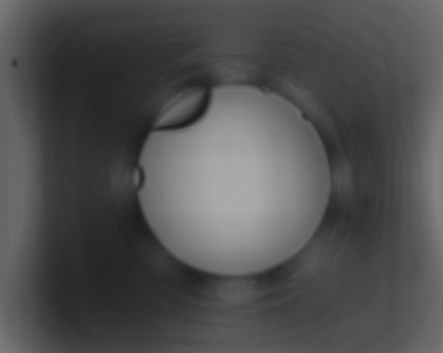 X0000100910426200807081128