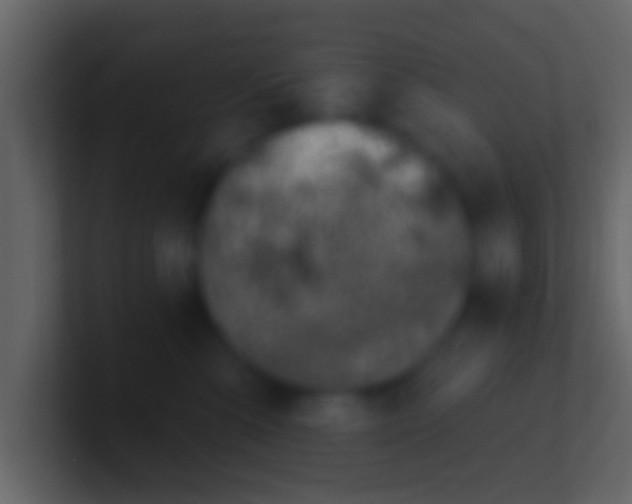 X0000100910427200807081128
