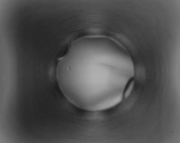 X0000100910428200807081128