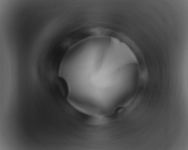 X0000100910429200807081128
