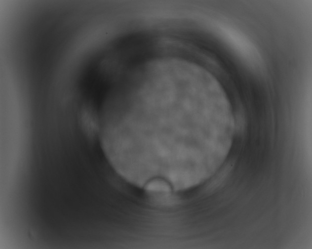 X0000100910431200807081128