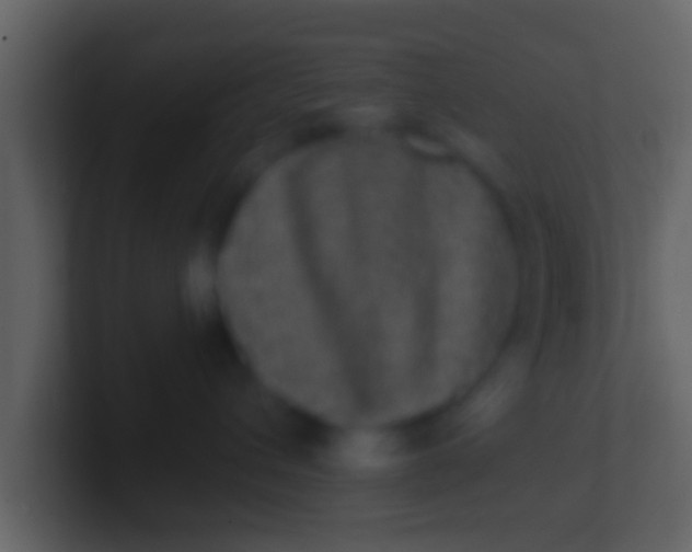 X0000100910432200807081128