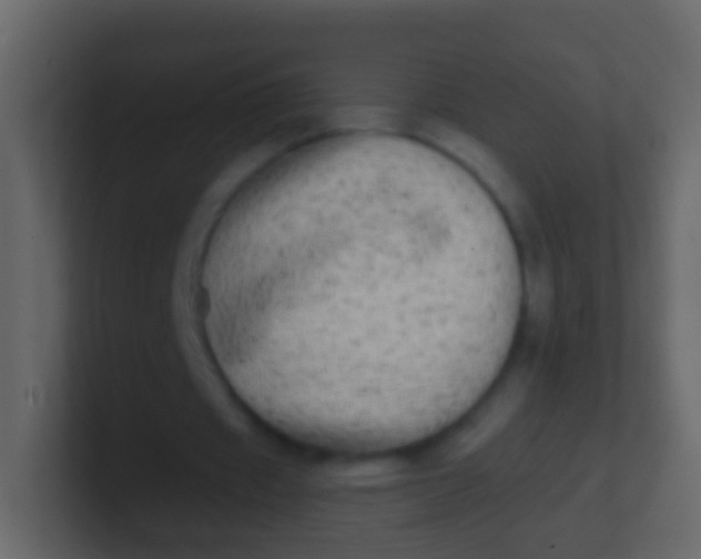 X0000100910433200807081127
