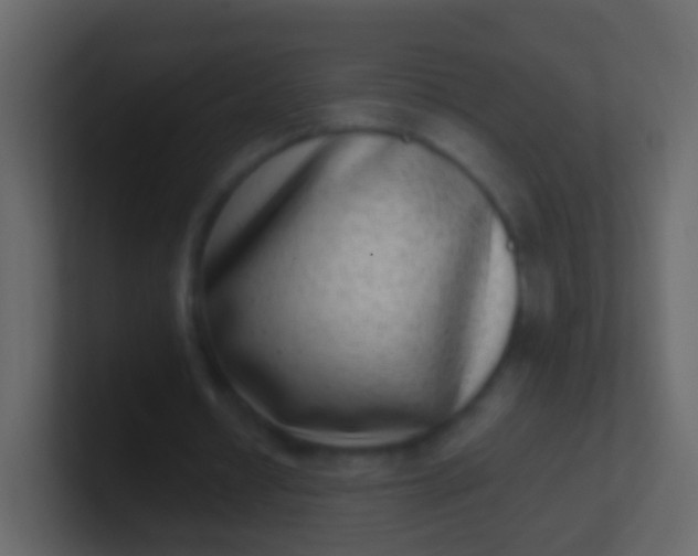 X0000100910434200807081127