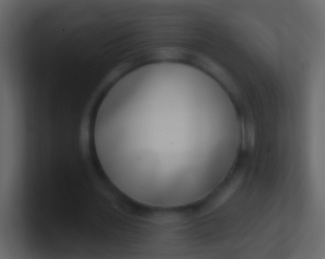 X0000100910435200807081127