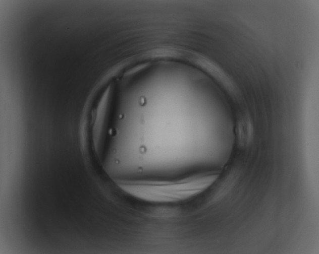 X0000100910436200807081127