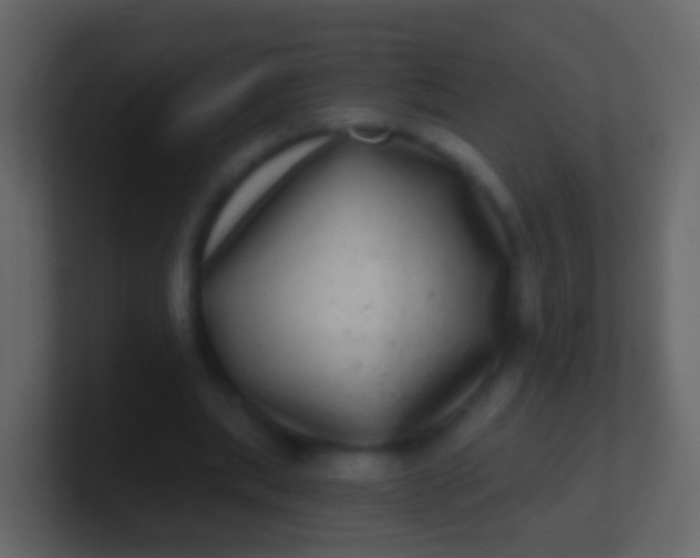 X0000100910439200807081127