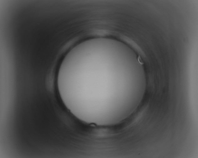 X0000100910440200807081127