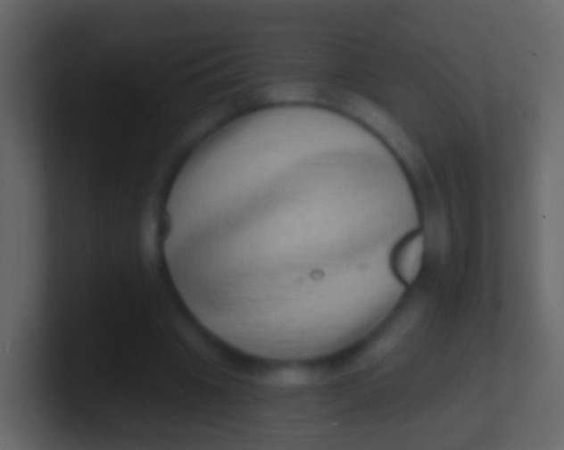 X0000100910441200807081127