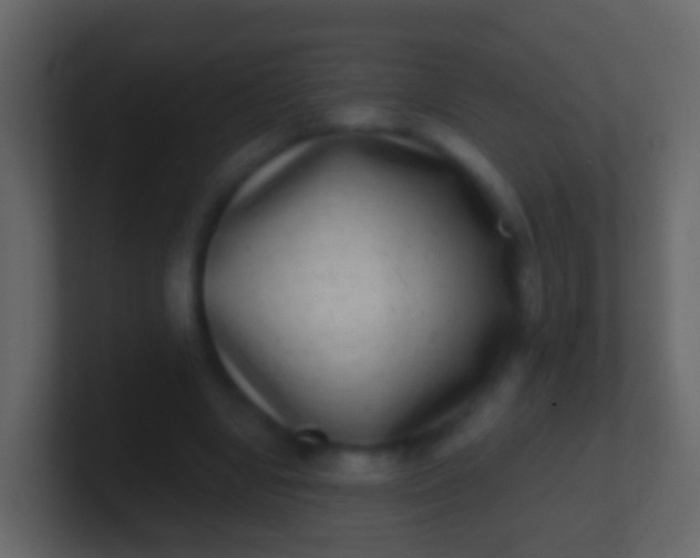 X0000100910442200807081127