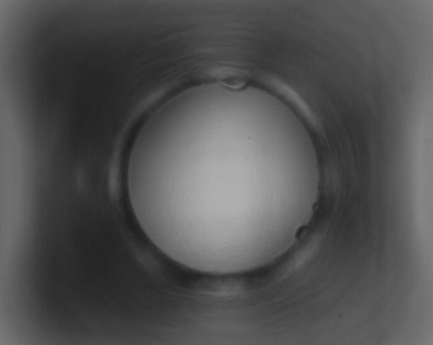 X0000100910443200807081127