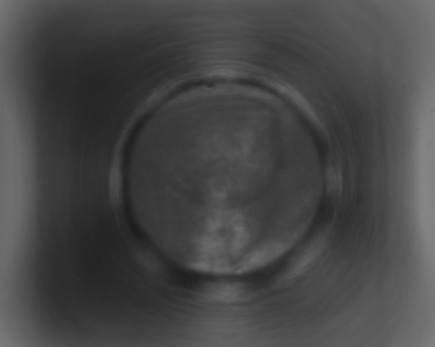 X0000100910444200807081127