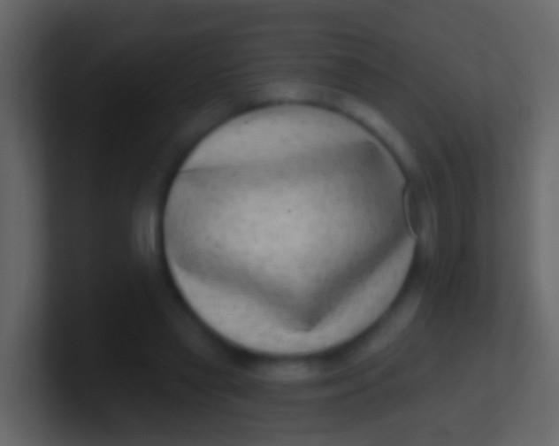 X0000100910445200807081127
