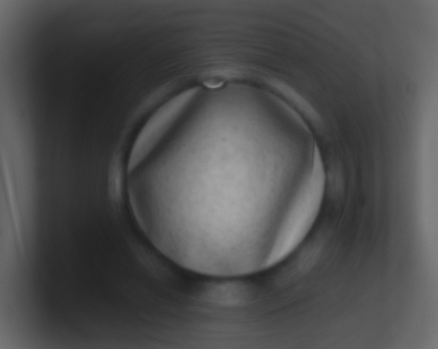 X0000100910446200807081127