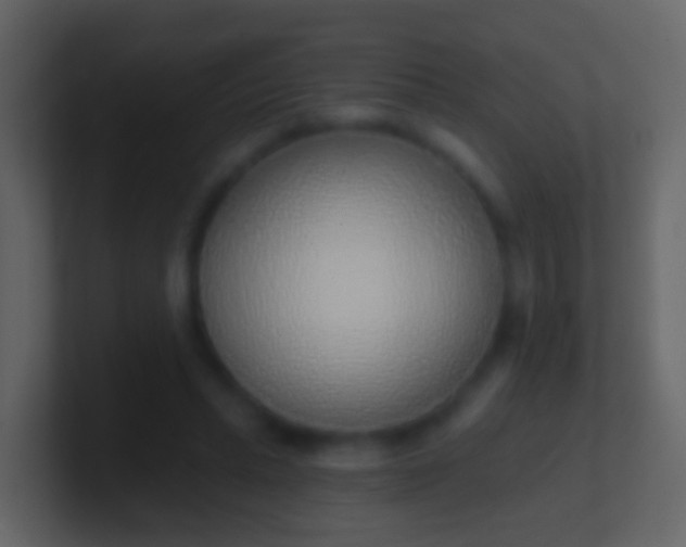 X0000100910447200807081127